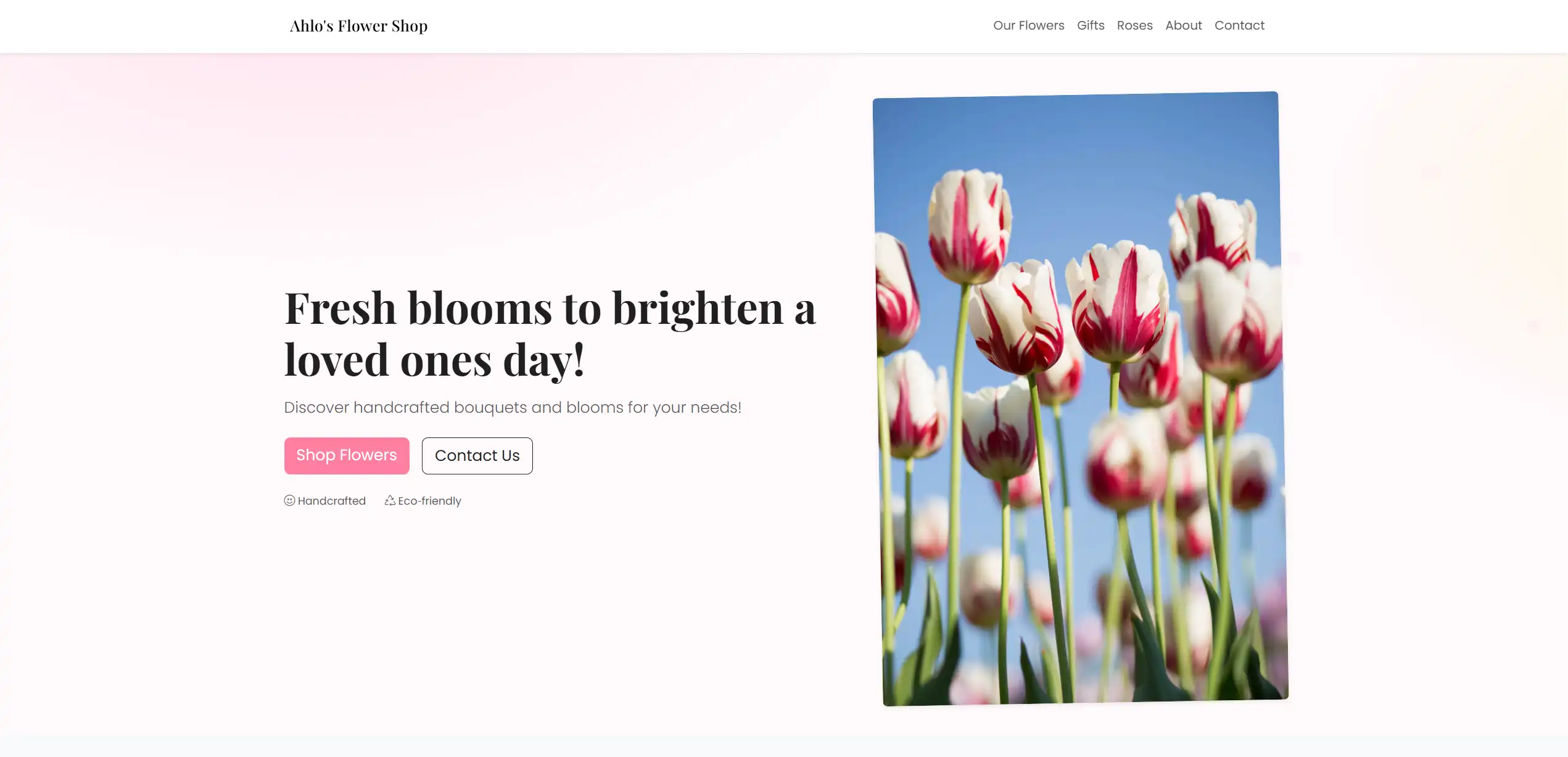 Port Jefferson Robotics